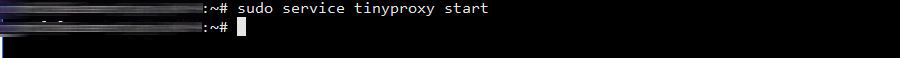 start tinyproxy service